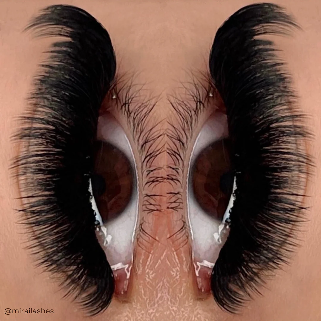 elan 0.05 Cashmere Mink Lash Trays - Image 5